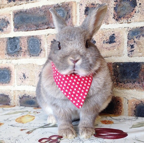 Red Star Bandana Neckerchief Pet Rabbit Bandanas Pet