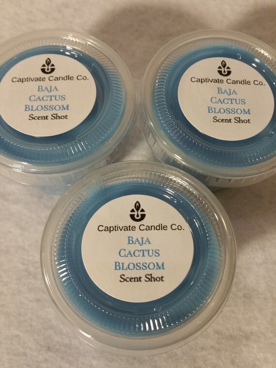 Baja Cactus Blossom BBW Type Wax Melt/ WaxTart/ Scent Shot/