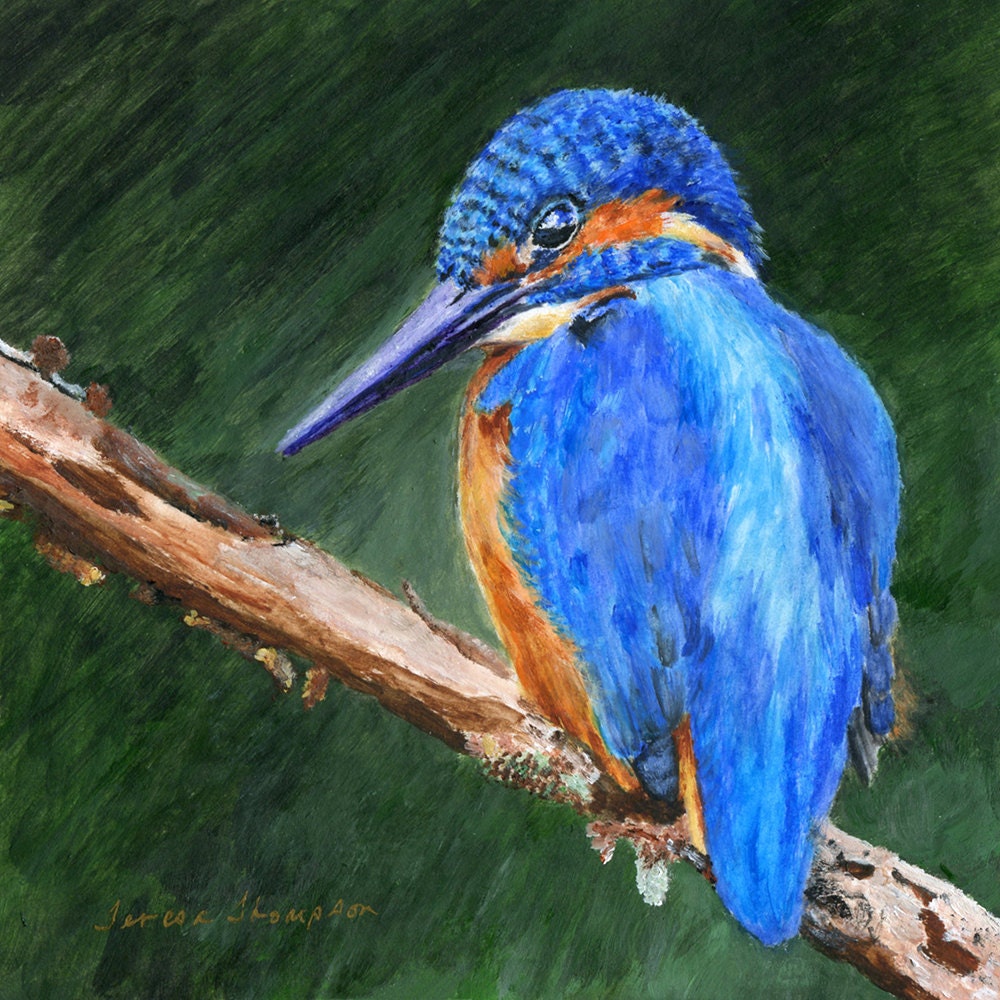 The Kingfisher ORIGINAL Acrylic Painting by Teresa Thompson