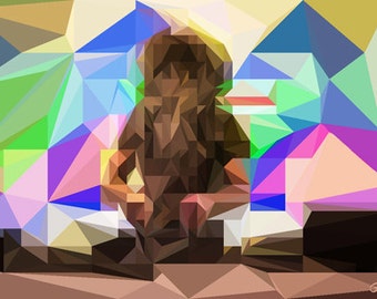 Bassnectar Geometric Personalized Festival Fan Art Wall Decor Print Poster