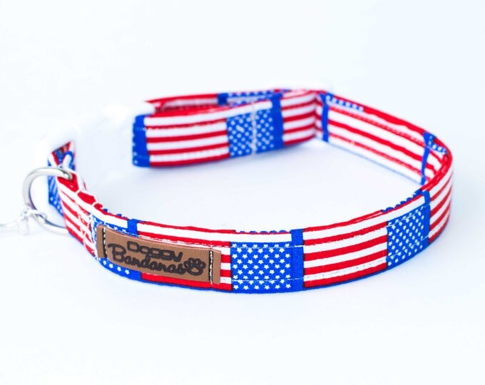 USA Dog Collar American Flag Dog Collar Patriotic Dog Collar Bright Custom Dog Collar Boy Holiday Dog Collar Red Blue Dog Collar 4th of July