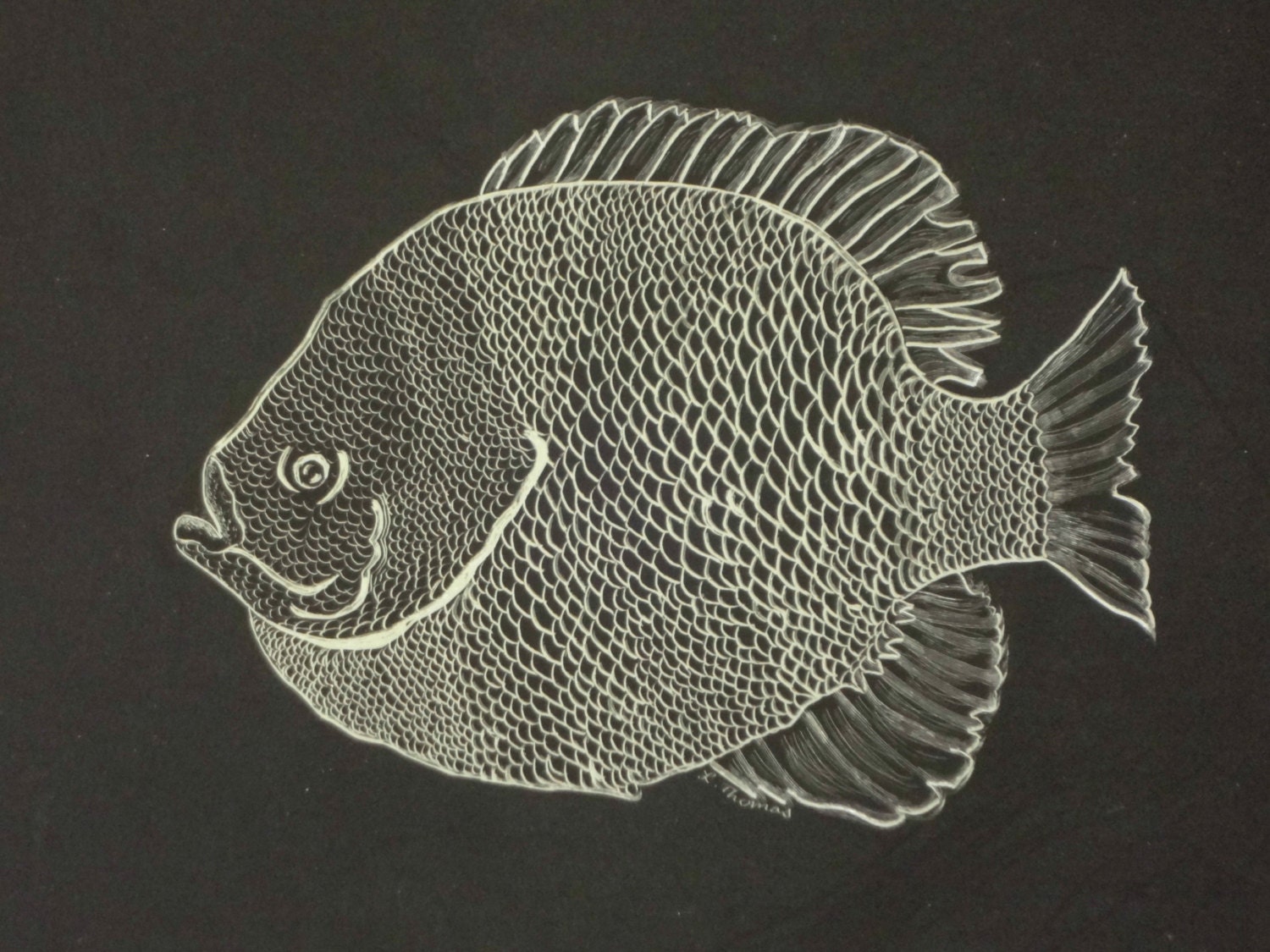 Fishing ArtFather's Day Gift Scratchboard Etching of a