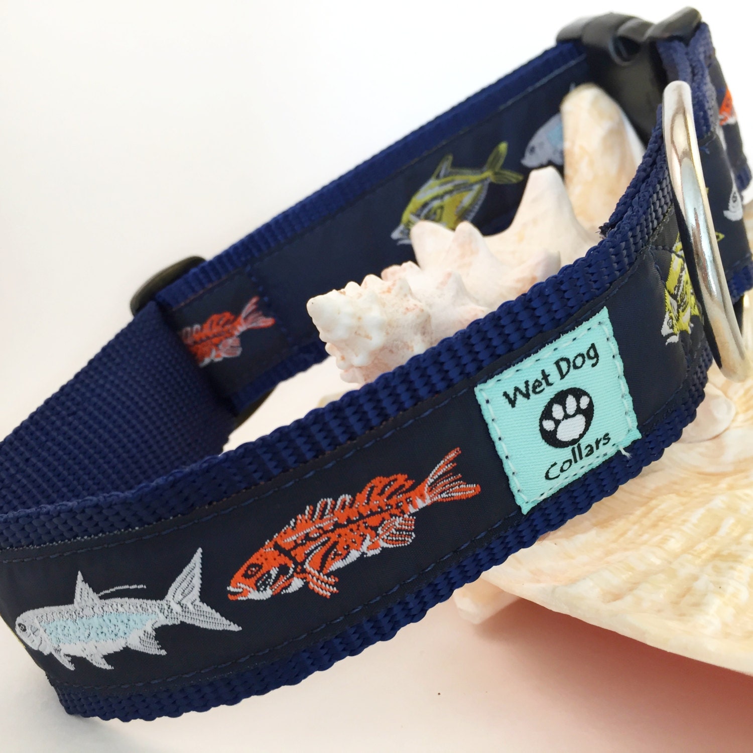 Saltwater Fish Dog Collar Rust Free DRing Stainless Steel