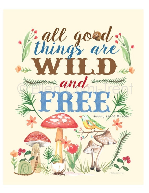 all good things are wild and free meaning