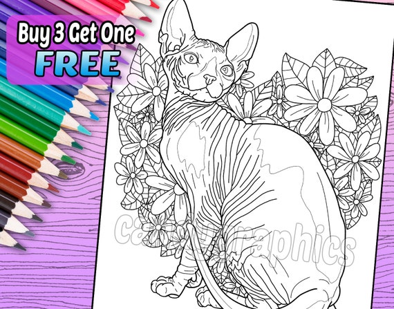  Sphynx  Cat  Adult Coloring  Book Page  Printable Instant