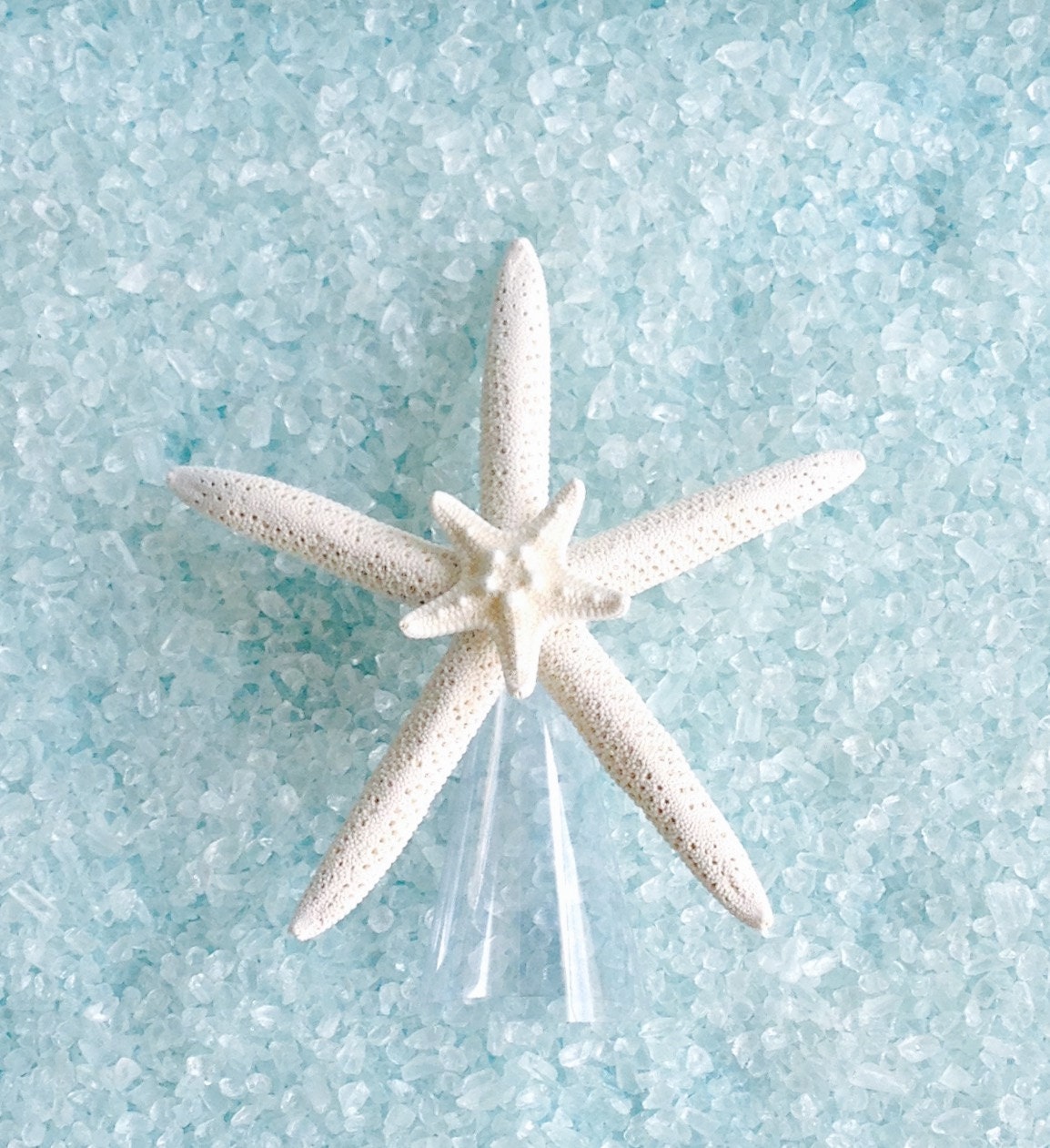Natural Starfish Tree Topper Choose Natural with Clear