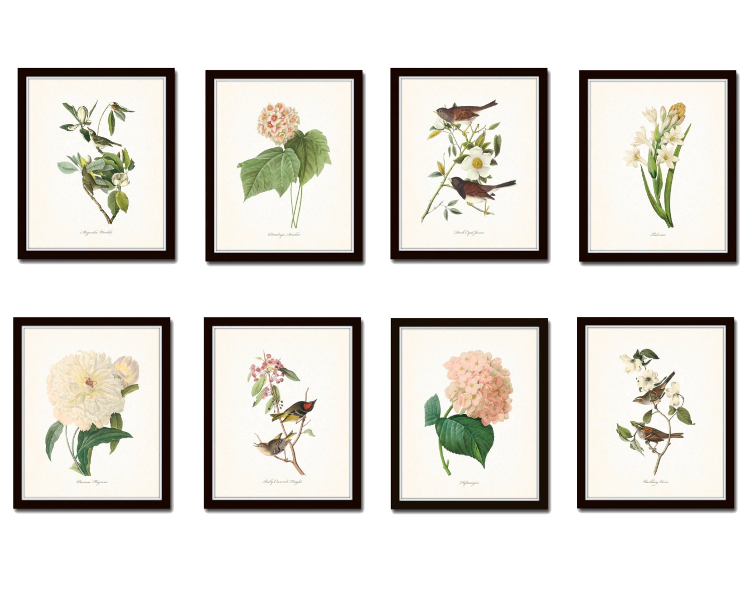Bird and Botanical Print Set No. 4 Redoute Botanical Prints