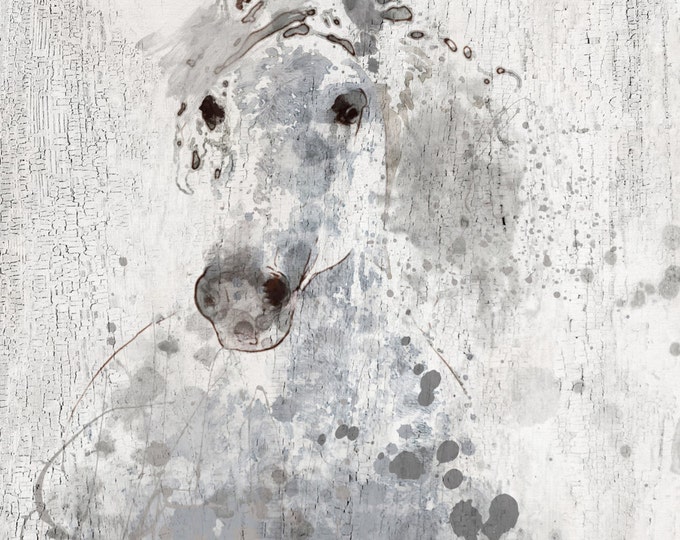 Silver Sunshine. Large Horse, Unique Horse Wall Decor, Gray Rustic Horse, Large Contemporary Canvas Art Print up to 48" by Irena Orlov