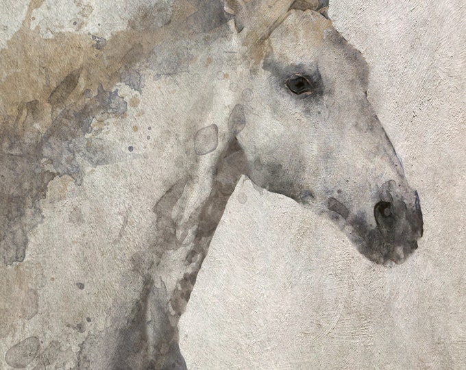 Silver Horse. Extra Large Horse, Unique Horse Wall Decor, Gray Rustic Horse, Large Contemporary Canvas Art Print up to 72" by Irena Orlov