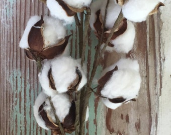 Cotton Stems - 20 inch Stem - Cotton Branches - Set of 3 Stems - Farmhouse Decor - Anniversary - Floral Spray- Cotton Wreath DIY
