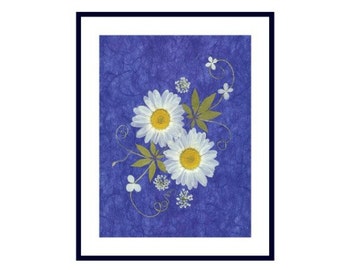 Pressed Flower Print - Daisies on Blue - 8 x 10 #018