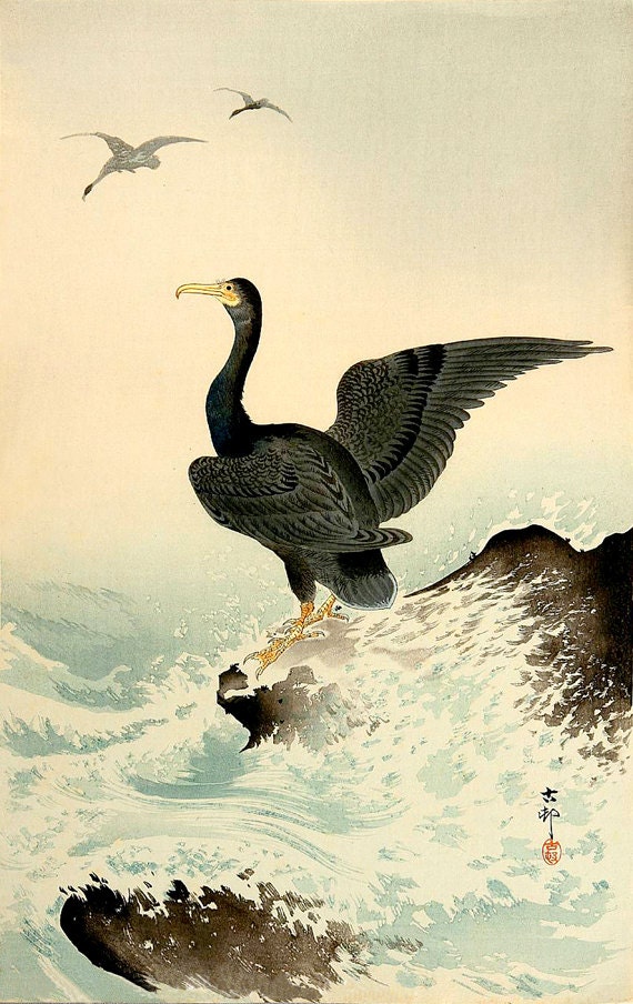 Japanese asian birds art prints posters paintings woodblock