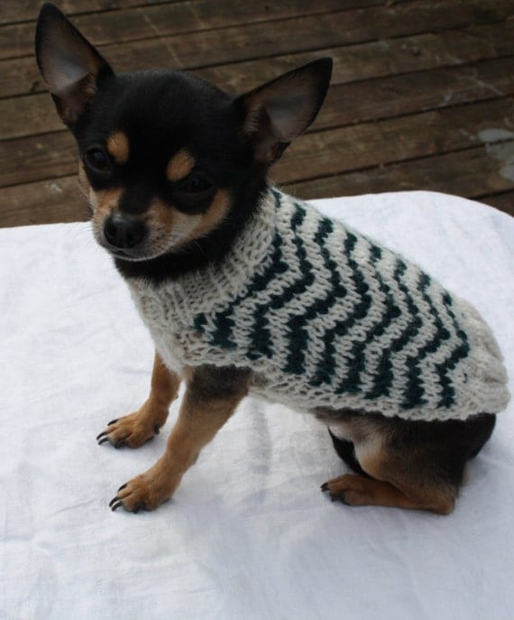 XS Dog Sweater For Mini Dog Pet Chihuahua Yorkie by PetzCouture
