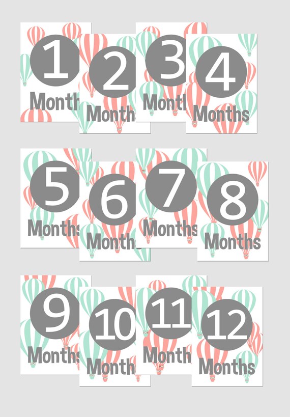 Month to month signs baby month signs 12 month signs 12