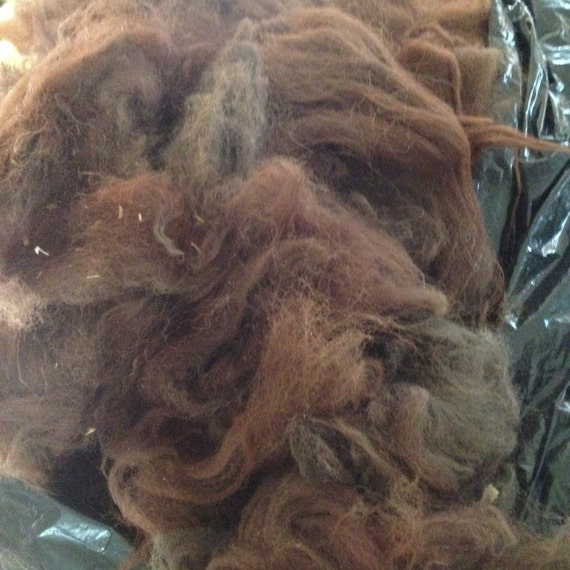 Raw Alpaca Fleece Raw Alpaca Fiber by YarnShackLlamasOhio on Etsy