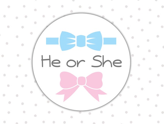 gender-reveal-stickers-gender-reveal-party-he-or-she