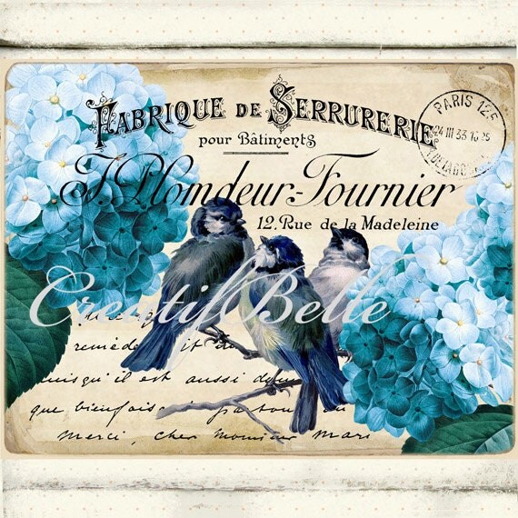 Vintage Blue Hydrangeas Birds Large Instant Digital Download