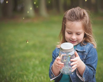 Fireflies Overlay | Photoshop only