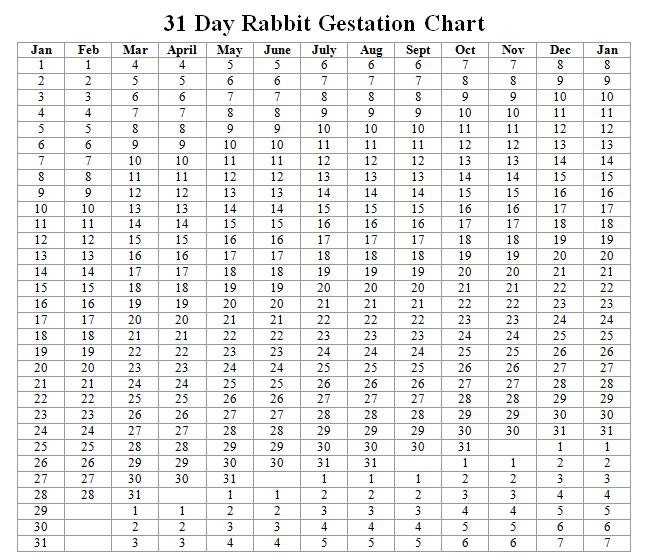 Rabbitry Rabbit Gestation Chart Calculator/Cheat by EdelweissRanch