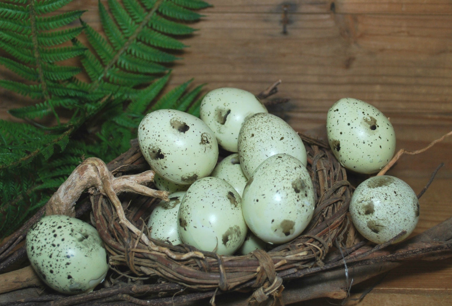 12 Light Green Speckled Bird Eggs.. 2 Plastic Eggs