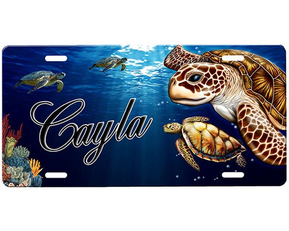 Sea Turtle License Plate
