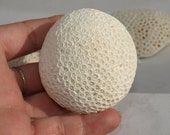 Vintage White Golfball Star Coral home decor rustic beach wedding decor crafts antique Rose fossils Coastal Style Accents bathroom decor