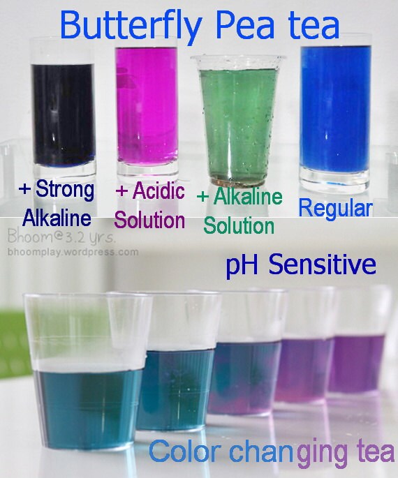 Dried Blue Butterfly Pea Flowers Magical ColorChanging