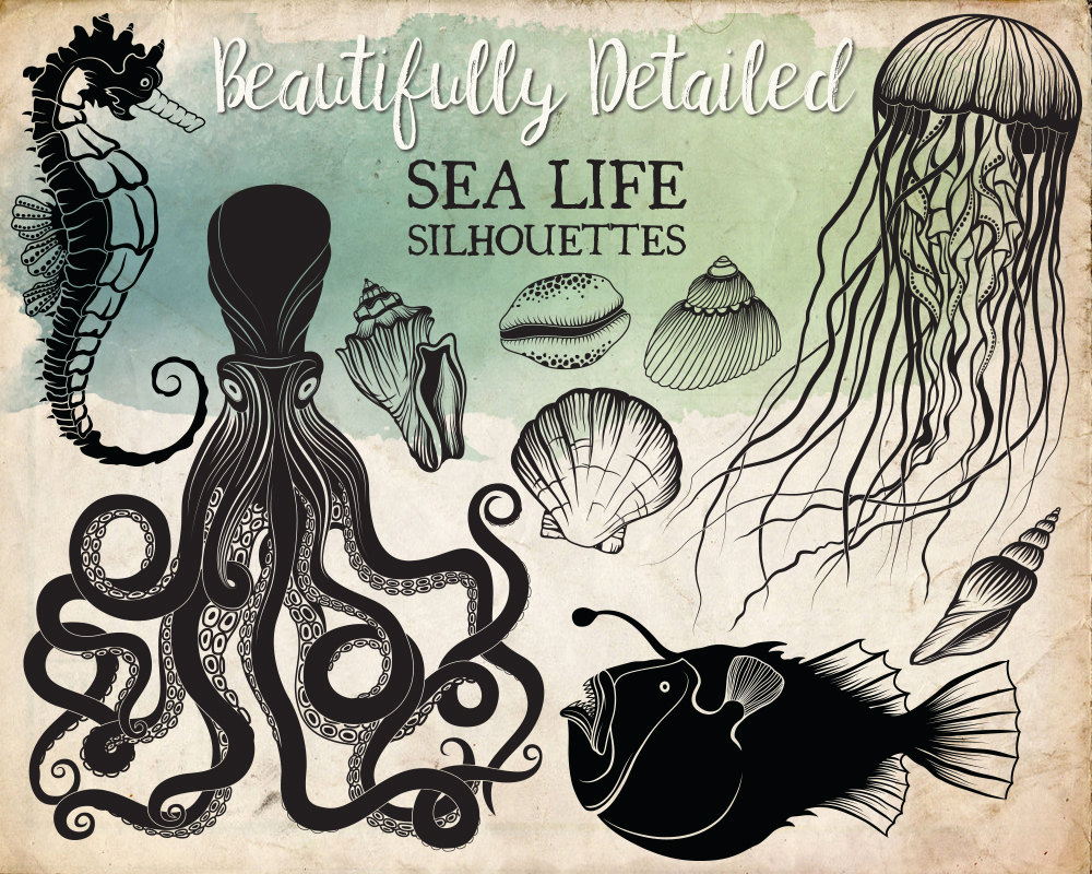 Download Ocean Life Silhouettes Clipart Beautifully Detailed Sea life
