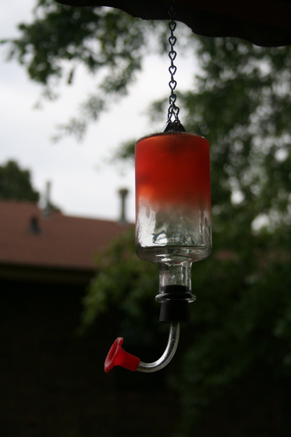 best hummingbird feeder for outdoors best hummingbird feeder for outdoors