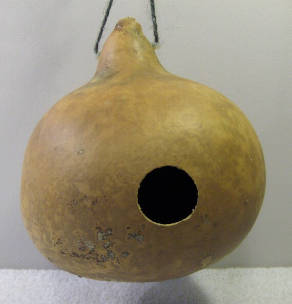 Martin Gourd Birdhouse 1 1/2 Entrance Hole....GBH3