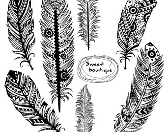 Hand Drawn Peacock feather clipart feather clipart peacock