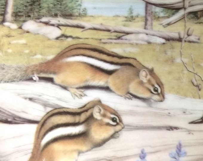 Wildlife Plate - Peter Barrett - Franklin Porcelain - Woodland Year - Friendly Chipmunks in August, Gift For Christmas, Cabin Decor