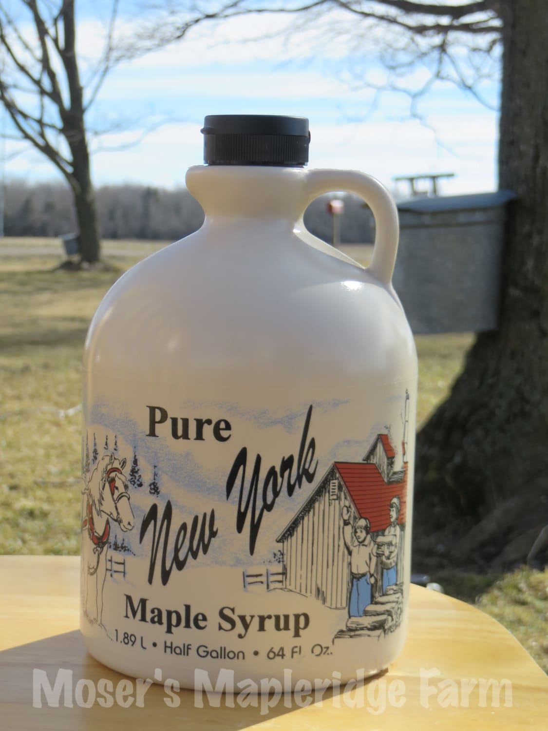 Pure Maple Syrup New York Maple Syrup half gallon syrup