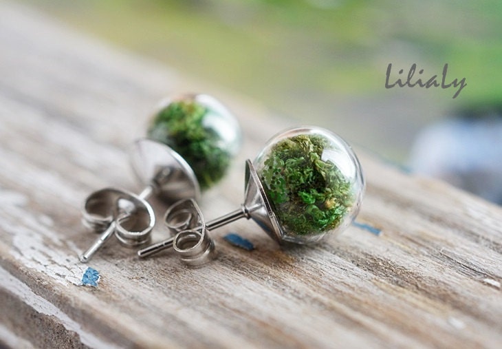 Real moss earrings Glass globe stud earrings Nature by LiliaLy