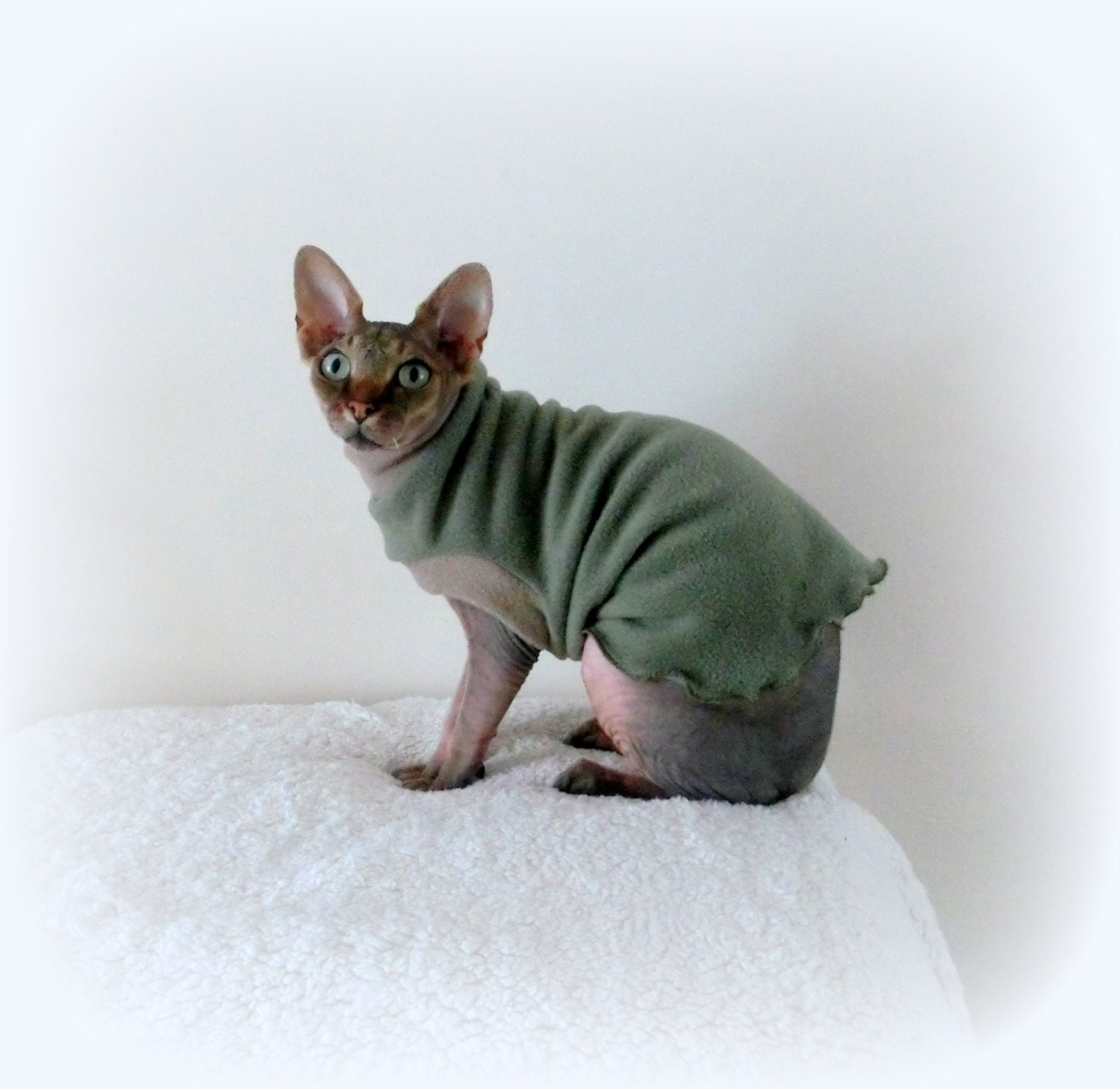 comfy FLEECE fleece jumper Sphynx cat clothes