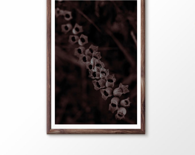 Instant download Digital print download Plant Photo Flower photography Printable poster Living Room Decor Dry plants photo Flower art spring