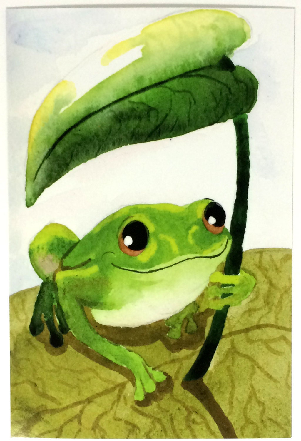 Cheer Up Postcard Set Frog Postcards Tree Frog Get Well Soon