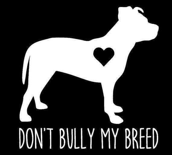 Don t bully my breed essay 08 picture