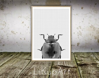 LadyBug Wall Print, Nursery Animal Print, Black and White, Nursery Printable Wall Art, Lady Beetle Print, Black and White, Digital Download