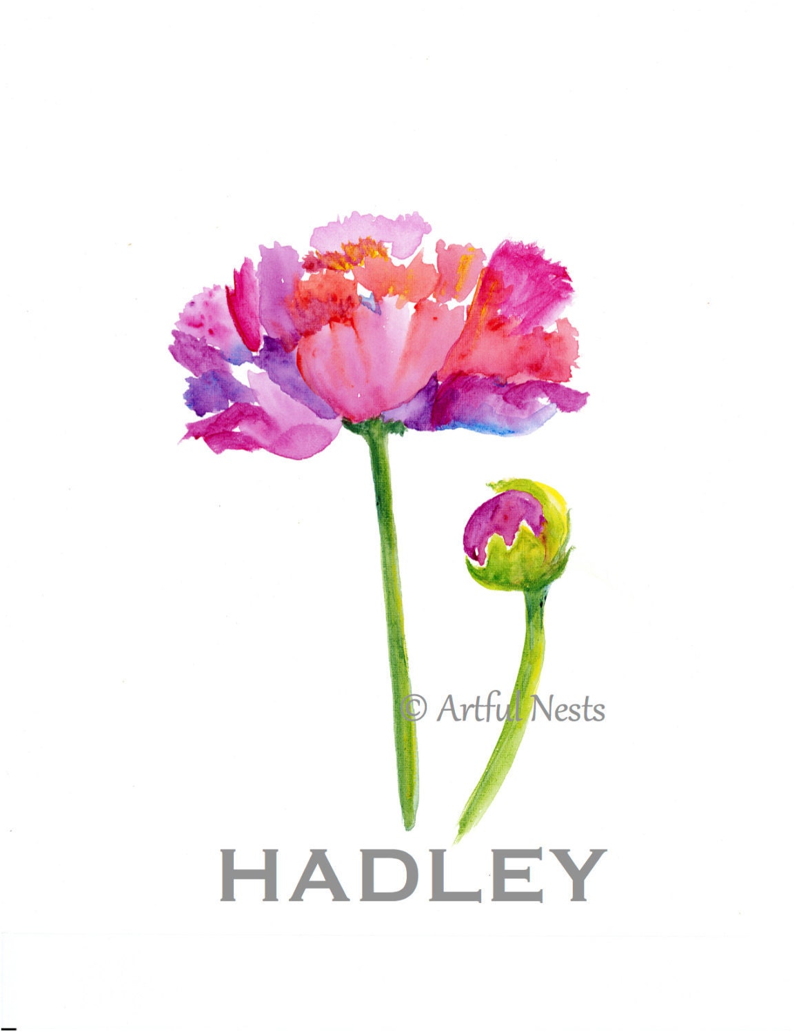Peony flower print May birth flower Birth announcement art