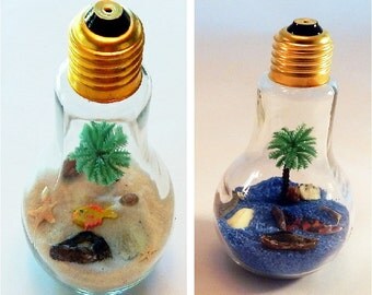 Tropical Island Lightbulb Glass Terrarium / Miniature Zen Garden / Light Bulb Desktop Vacation /