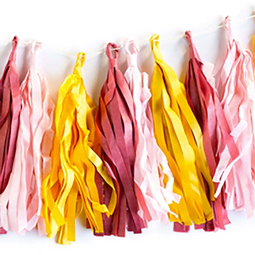 Tassel Garland Tassel Banner Hanging Party Decor Backdrop