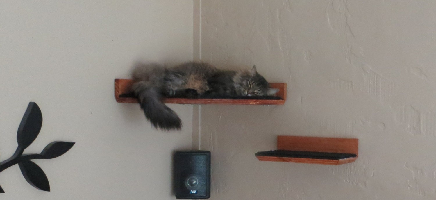 Cat Corner Shelves Weaceconsult Floating Corner Cat Bed Shelf W Brackets