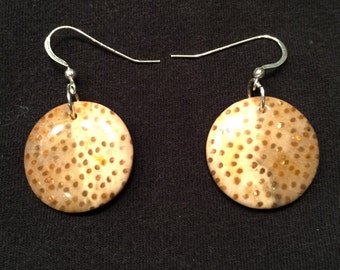 Petrified Palm Wood Earrings