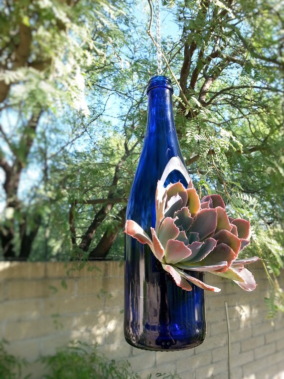 Hanging Wine Bottle Planter / Hanging by LookingSharpCactus