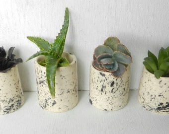 ceramic planter - succulent planter - small ceramic planter - b small ceramic pot - white ceramic planter
