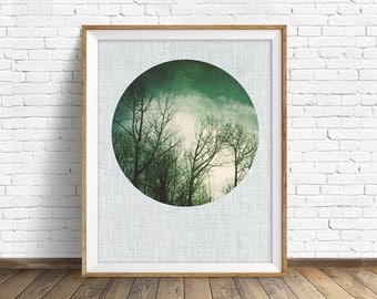 nature photography, large art, large wall art, printable art, instant download printable art, nature prints, rustic wall art - "Leafless"