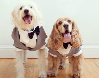 Dog Tux, Dog Clothes, Puppy Clothes, Dog Tuxedo, Puppy Tuxedo, Special Occasion Outfit, Dog Bowtie