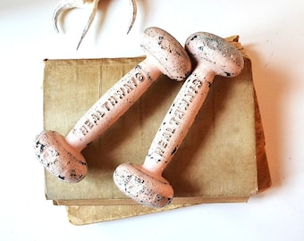 vintage chippy pink Healthways weights dumbbells barbells