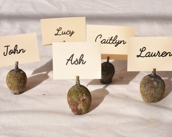 100 Gumnut Place Card Holders, Australian rustic place card holders, nature place card holders wedding place card holders